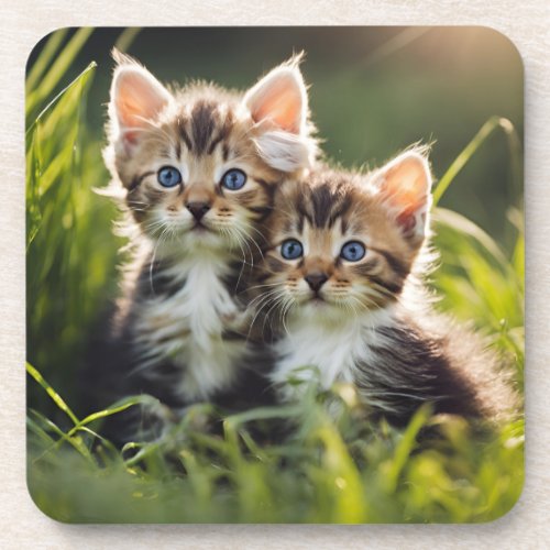 Adorable Kittens In The Grass Beverage Coaster
