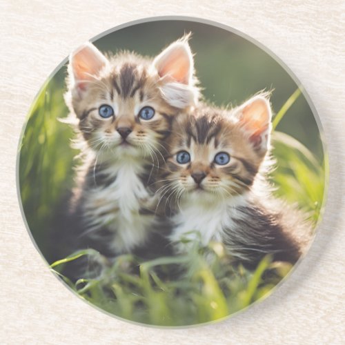 Adorable Kittens In The Grass Coaster