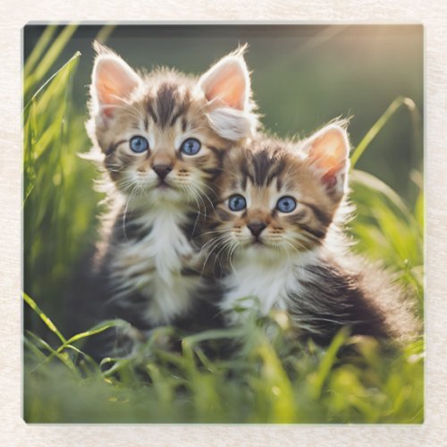Adorable Kittens In The Grass Glass Coaster