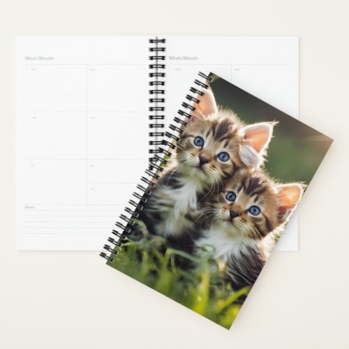 Adorable Kittens In The Grass Planner