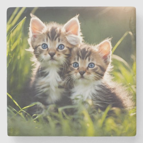 Adorable Kittens In The Grass Stone Coaster