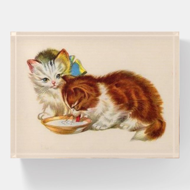 adorable kittens paperweight (Front)
