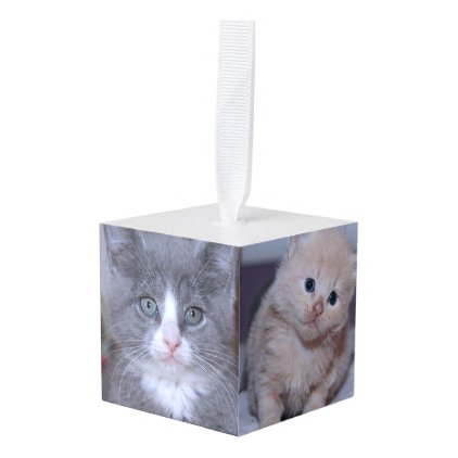 ADORABLE KITTENS PHOTO CUBE ORNAMENT