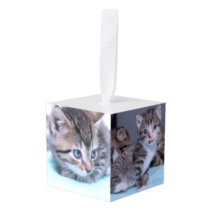 ADORABLE KITTENS PHOTO CUBE ORNAMENT