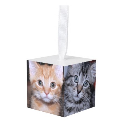 ADORABLE KITTENS PHOTO CUBE ORNAMENT