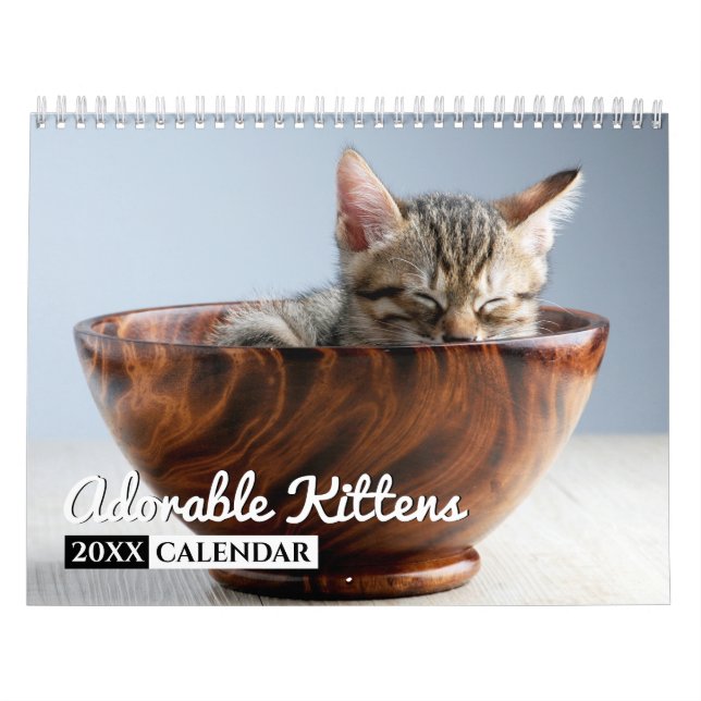 Adorable Kittens Photo Wall Calendar (Cover)