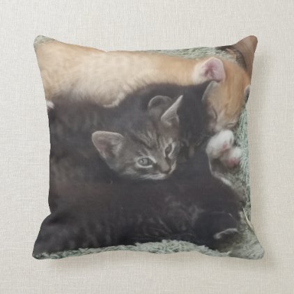 Adorable Kittens Pillow