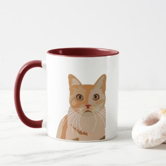 Adorable Kitty Cute Cat 