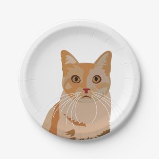 Adorable Kitty Cute Cat 