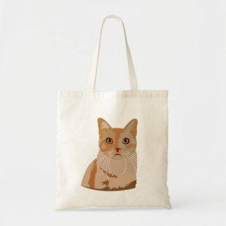 Adorable Kitty Cute Cat 