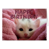 Adorable kitty stay warm (Front Horizontal)