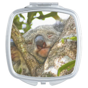 Adorable Koala Bear Compact Mirror