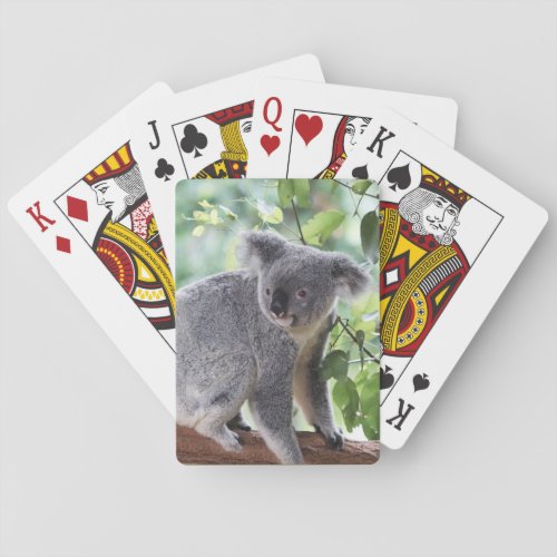 Adorable Koala Bear Tree Green Leaves Wildlife Playing Cards