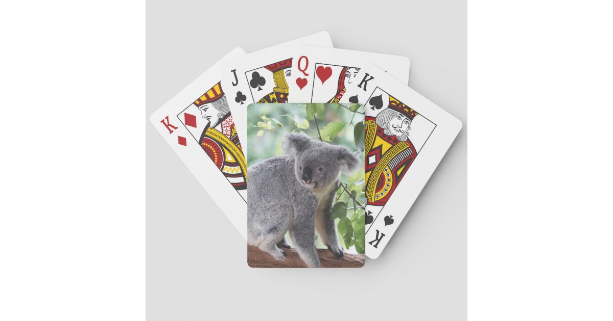 Adorable Koala Bear Tree Green Leaves Wildlife Poker Cards Zazzle — free download