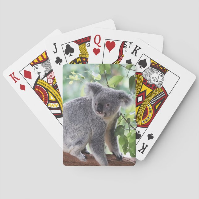 Adorable Koala Bear Tree Green Leaves Wildlife Poker Cards (Back)