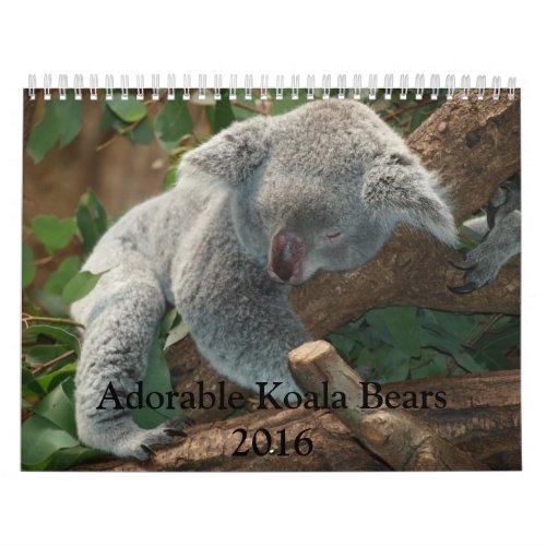 Adorable Koala Bears 2016 Calendar