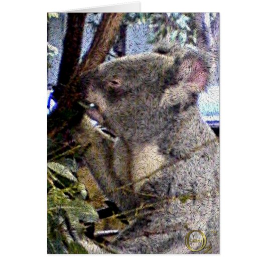 Adorable Koala Cards (Front)