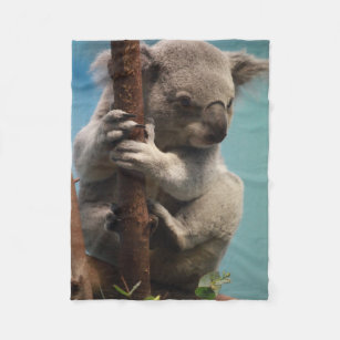 Koala Bear In Tree Blankets Throws Zazzle