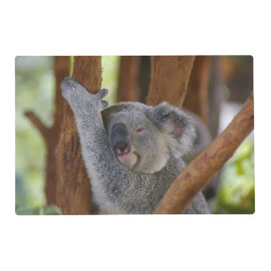 Adorable Koala Laminated Place Mat