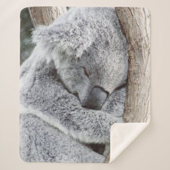 Adorable Koala Sherpa Blanket by MehrFarbeImLeben at Zazzle
