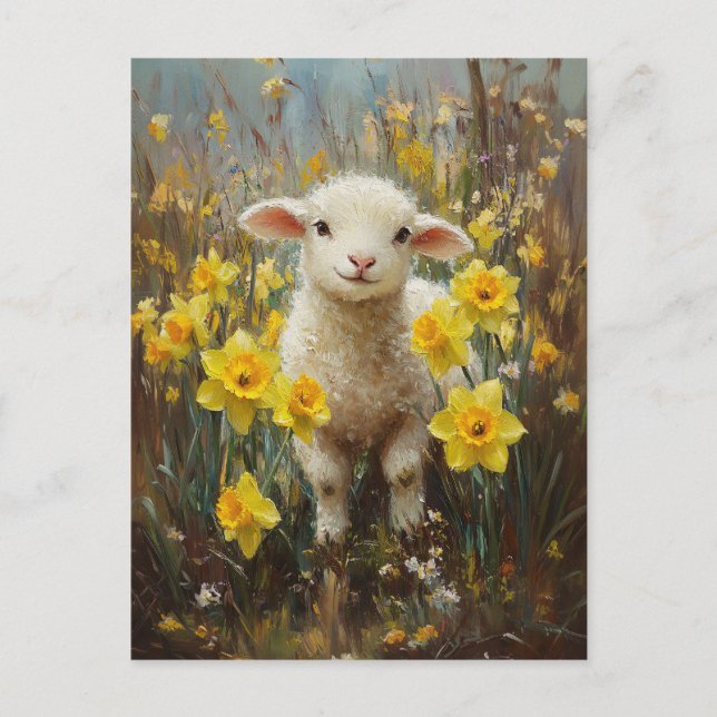 Adorable Lamb Yellow Daffodils Painting Postcard (Front)