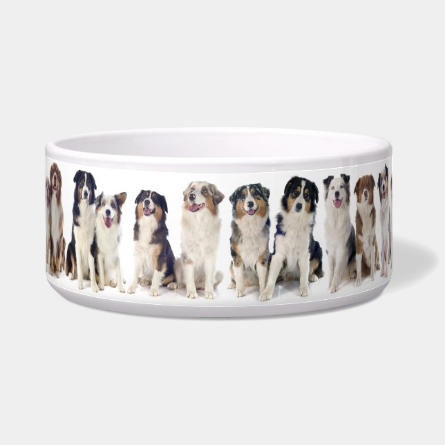 Adorable Large Bowl for the Australian Shepherd. (Left)