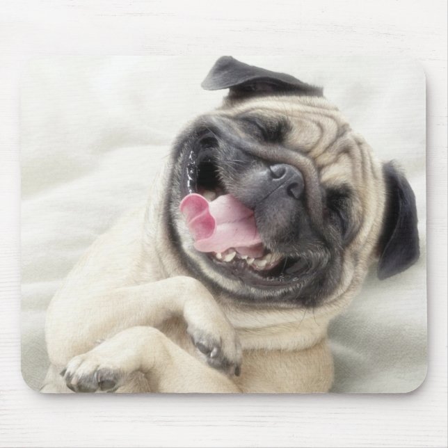Adorable Laughing Pug design Mouse Pad (Front)