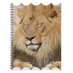 Adorable Lion Notebook
