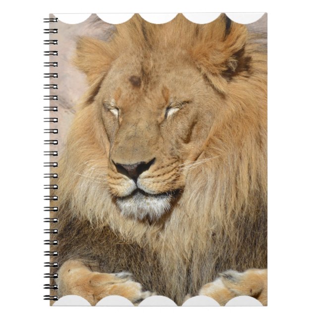 Adorable Lion Notebook (Front)