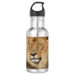 Adorable Lion Stainless Steel Water Bottle