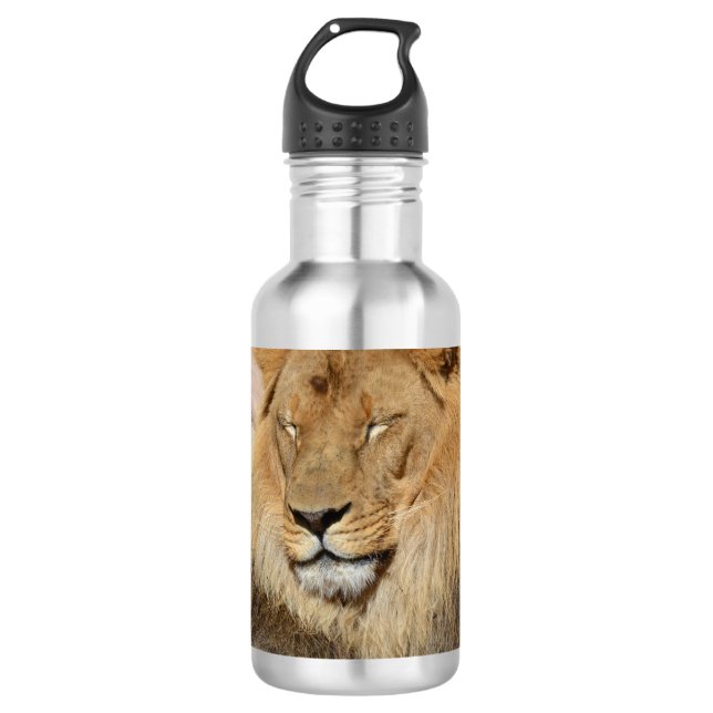 Adorable Lion Stainless Steel Water Bottle (Front)