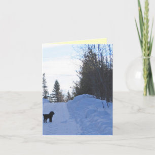 Adorable Little Dog Note Card