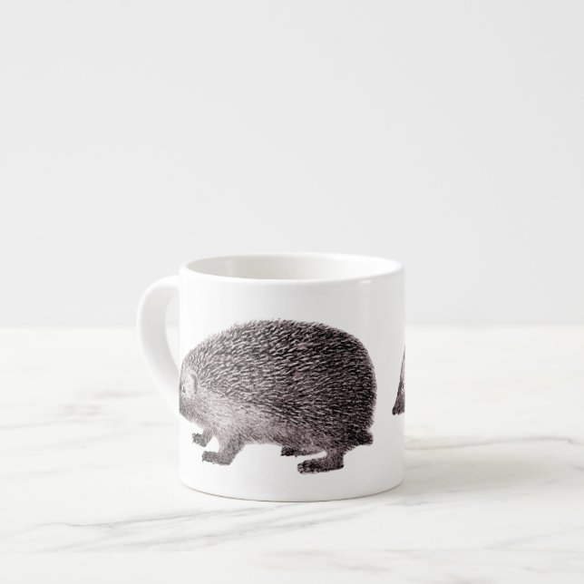 Adorable Little Hedgehog Hedgie from Antique Print Espresso Cup (Front Left)