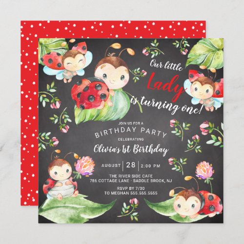 Adorable Little Lady Ladybug 1st Birthday Invitati Invitation