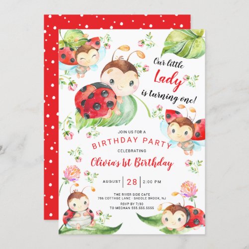 Adorable Little Lady Ladybug 1st Birthday Invitati Invitation