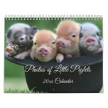 Adorable Little Piglets In A Black Hat Calendar at Zazzle