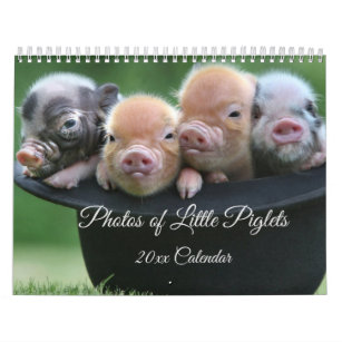 Adorable Little Piglets in a Black Hat Calendar