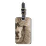 Adorable Llama/Alpaca Luggage Tag Adorable Llama/Alpaca Luggage Tag