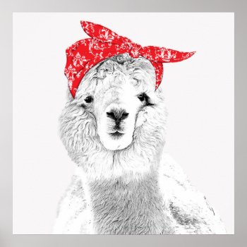 Adorable Llama Wearing A Red Bandana Poster by Vanillaextinctions at Zazzle