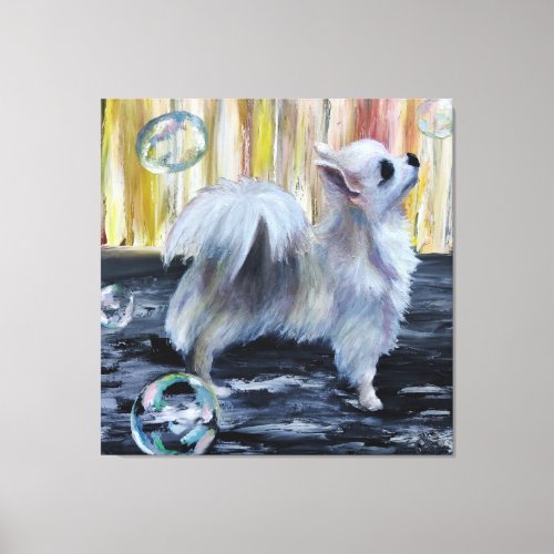 Adorable long hair Chihuahua with bubbles _ pet Canvas Print