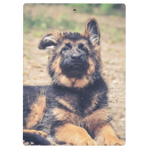 Adorable Long Haired German Shepherd Puppy Clipboard
