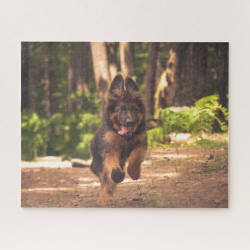 Adorable Long Haired German Shepherd Puppy Jigsaw Puzzle