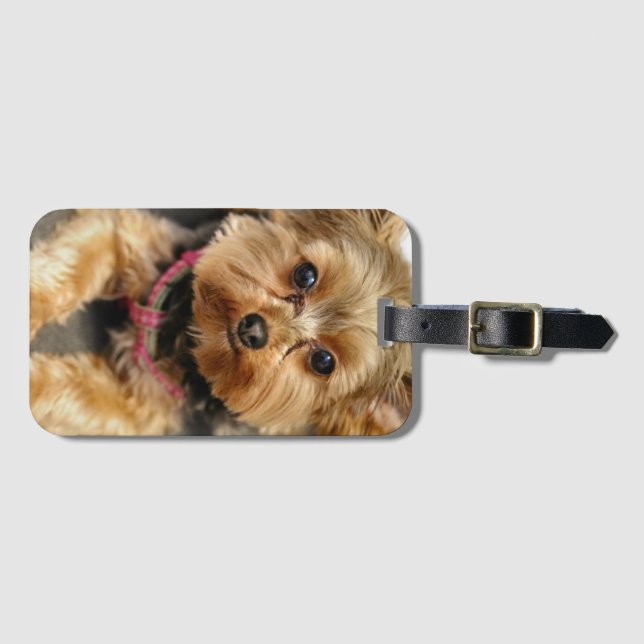 Adorable Luggage Tag (Front Horizontal)