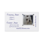 Adorable Maltese Business Card