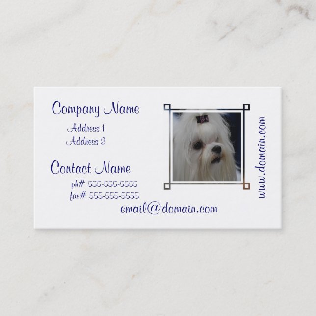 Adorable Maltese Business Card (Front)