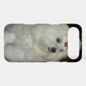 Adorable Maltese Dog iPod Touch Case (Back (Horizontal))
