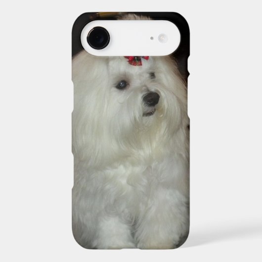 Adorable Maltese Dog iPod Touch Case (Back)