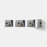 Adorable Maltese Grosgrain Ribbon