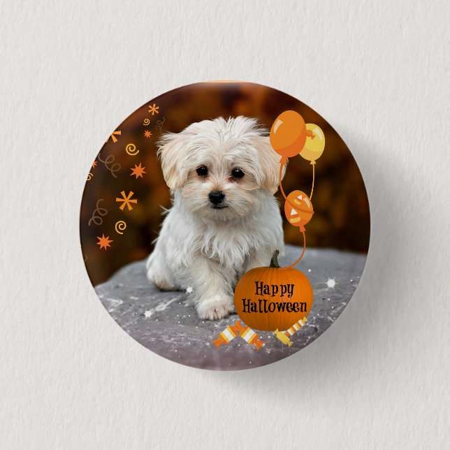Adorable maltese puppy celebrates Halloween Button (Front)