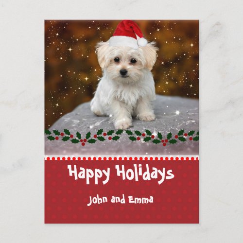 Adorable Maltese Puppy Template Holiday Card